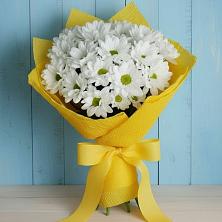 Букет цветов из:  Хризантемы в Средней Ахтубе